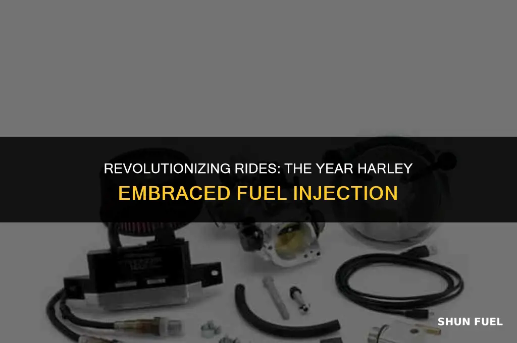 what year harley fuel injection