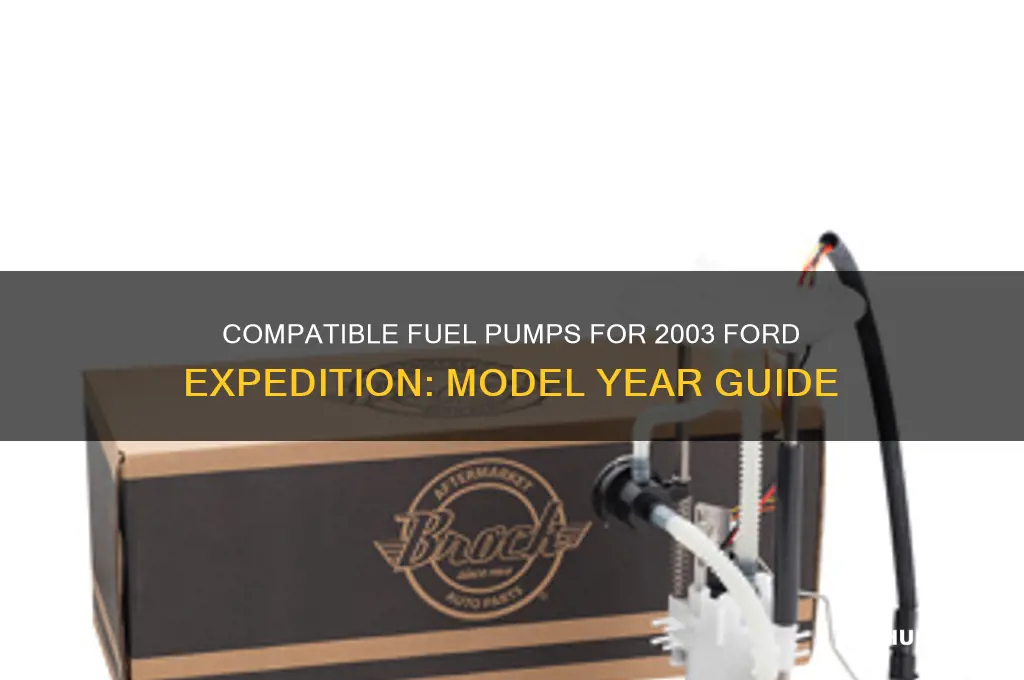 what year model fuel pumps will fit 2003 expedition