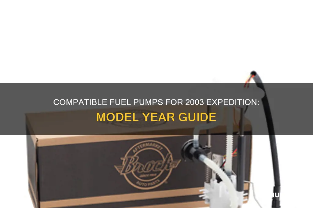what year model fuel pumps will fit 2003 expidition