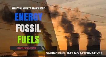 Understanding Fossil Fuels: Essential Insights for a Sustainable Energy Future
