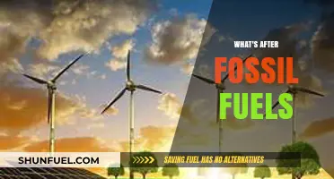 Beyond Fossil Fuels: Exploring the Future of Sustainable Energy