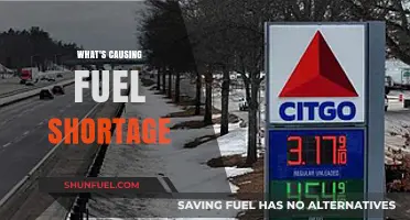 Unraveling the Complex Causes Behind the Current Fuel Shortage Crisis