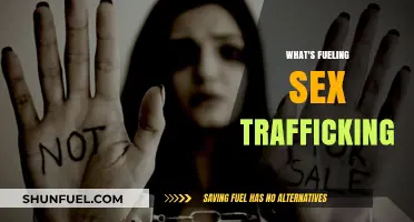 Uncovering the Hidden Forces Behind Sex Trafficking