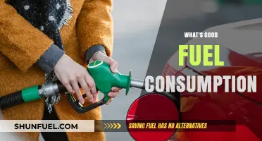 Optimal Fuel Efficiency: A Guide to Economical Driving
