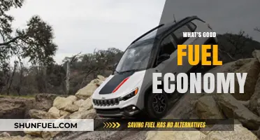 Revving Up Efficiency: The Quest for Optimal Fuel Economy