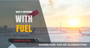 Fuel Crisis: Understanding the Current Market Turmoil