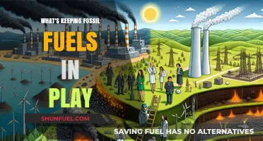 Why Fossil Fuels Persist: Unraveling the Complex Energy Landscape