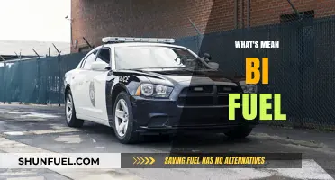 Exploring Bi-Fuel Vehicles: A Comprehensive Guide to Their Benefits and Drawbacks