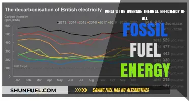 Exploring Fossil Fuels: Average Thermal Efficiency Rates Revealed