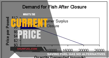 What's the Current Price? A Comprehensive Guide to Today's Market Rates