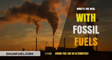 Fossil Fuels: Unraveling Their Impact, Alternatives, and Future Challenges