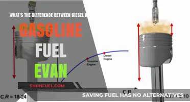 Diesel vs Gasoline: What's the Difference?