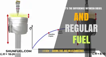 Diesel vs Regular: Understanding Fuel Differences
