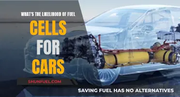 The Future of Fuel Cells for Cars: Likely or Not?