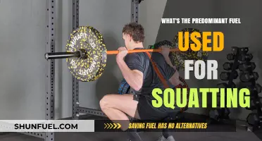 Squatting Fuel: The Predominant Energy Source for Optimal Performance
