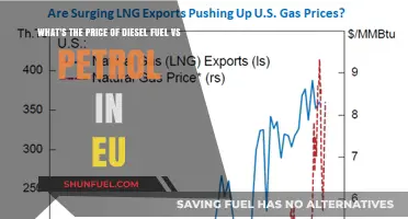 Diesel vs Petrol: EU Fuel Price Comparison