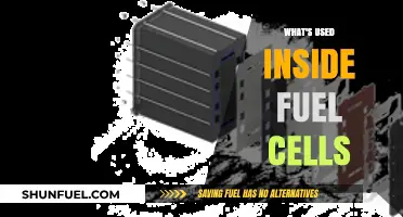 Unveiling Fuel Cell Components: A Deep Dive Inside Their Inner Workings