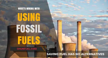 The Hidden Costs of Fossil Fuels: Environmental and Health Impacts
