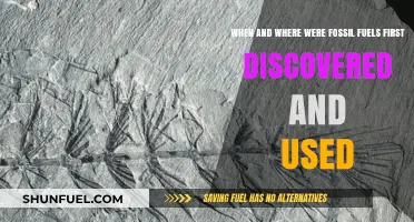 The Origins of Fossil Fuels: Discovery and Early Utilization