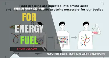 When Amino Acids Fuel Energy: Understanding Their Role in Metabolism