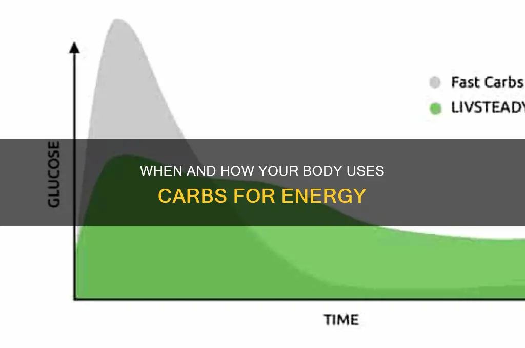 when are carb used for fuel