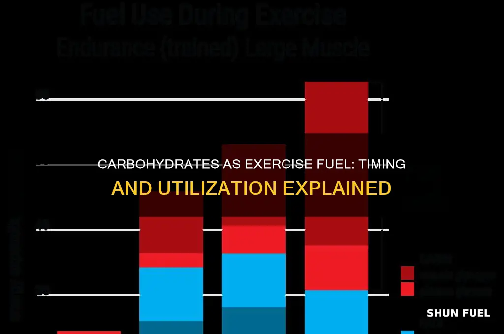 when are carbohydrates used during exercise as a fuel source
