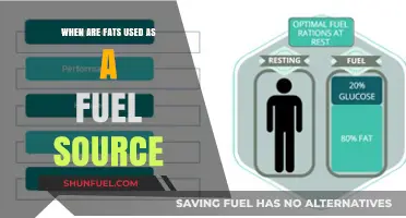 When and How Fats Become Your Body's Primary Fuel Source