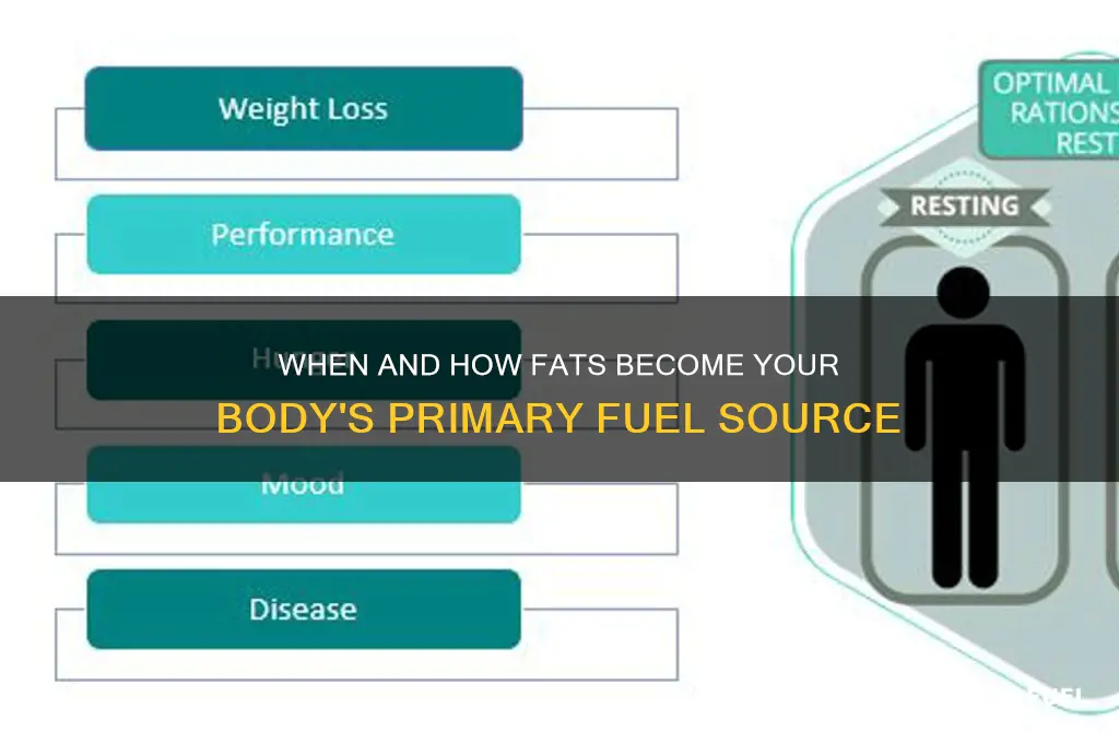 when are fats used as a fuel source