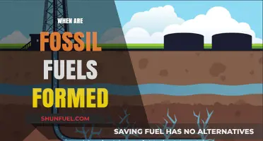 Unveiling the Ancient Origins of Fossil Fuels: A Geological Journey