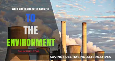 Fossil Fuels' Environmental Impact: Harmful Effects and Sustainable Alternatives