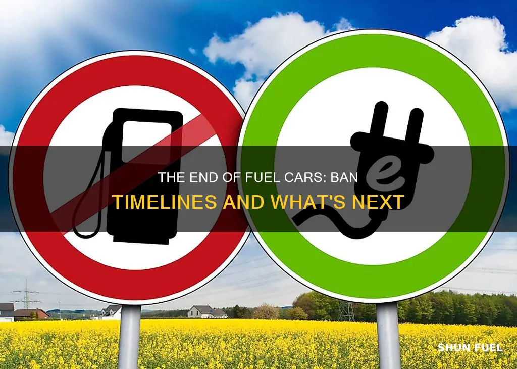 when are fuel cars banned