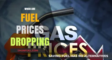Anticipating Relief at the Pump: When Will Fuel Prices Drop?