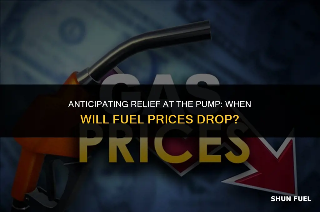 when are fuel prices dropping