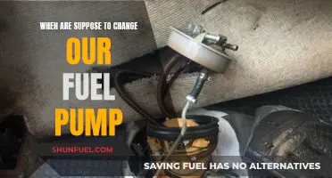 Fuel Pump Maintenance: When to Change for Optimal Performance