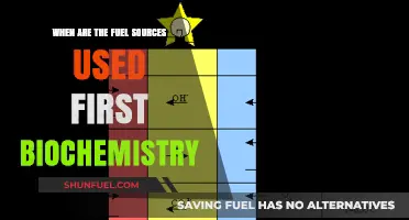 Biochemistry's Fuel Source Hierarchy: Which Energy Reserves Are Utilized First?