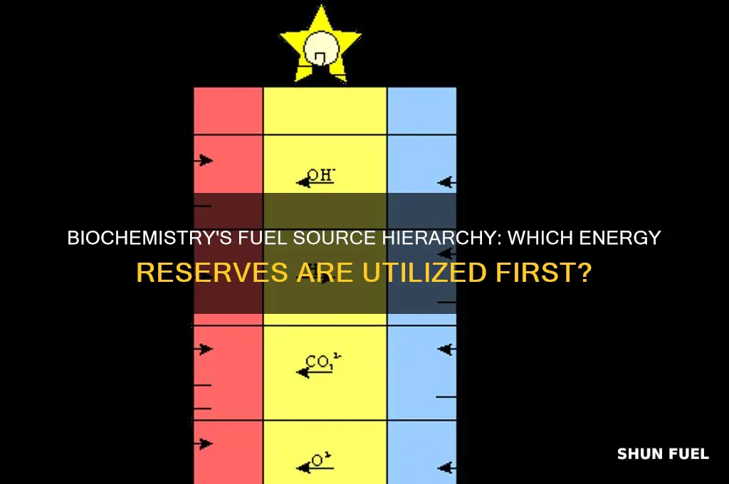 when are the fuel sources used first biochemistry