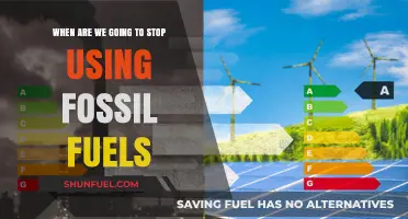 Ending Fossil Fuel Dependence: When Will the Transition Finally Happen?