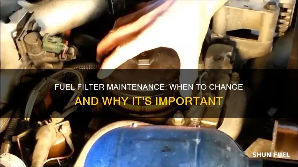 when are you supposed to change your fuel filter