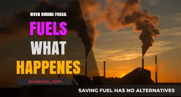 Burning Fossil Fuels: Environmental Impacts and Climate Change Consequences