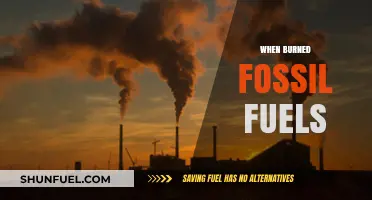 When Burned Fossil Fuels: Climate Impact and Sustainable Alternatives