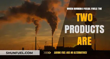 Burning Fossil Fuels: Unveiling the Two Primary Byproducts and Their Impact