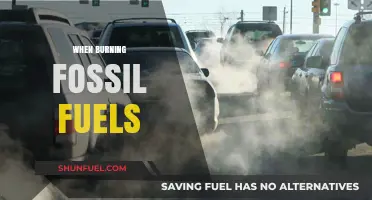 Fossil Fuels: Burning Questions About Our Future