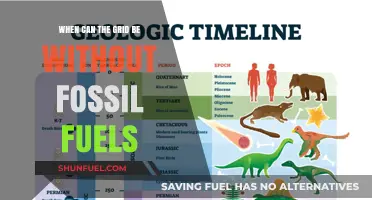 Transitioning to a Fossil-Free Grid: Timeline and Key Milestones