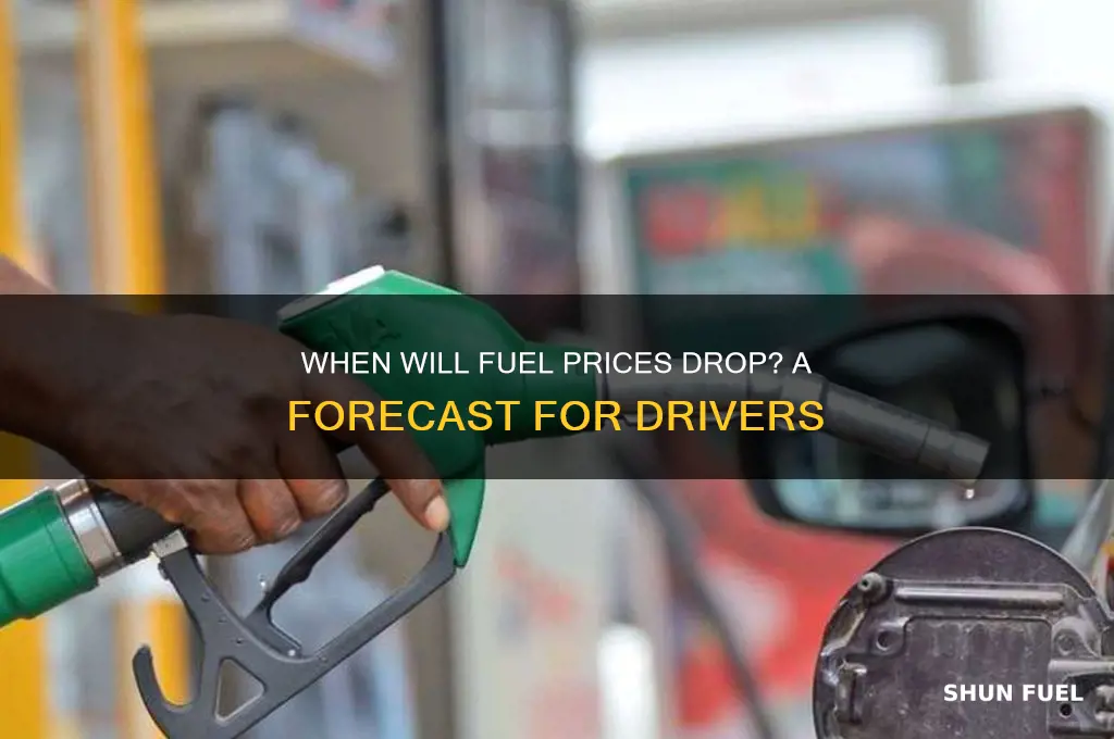 when can we expect fuel prices to go down