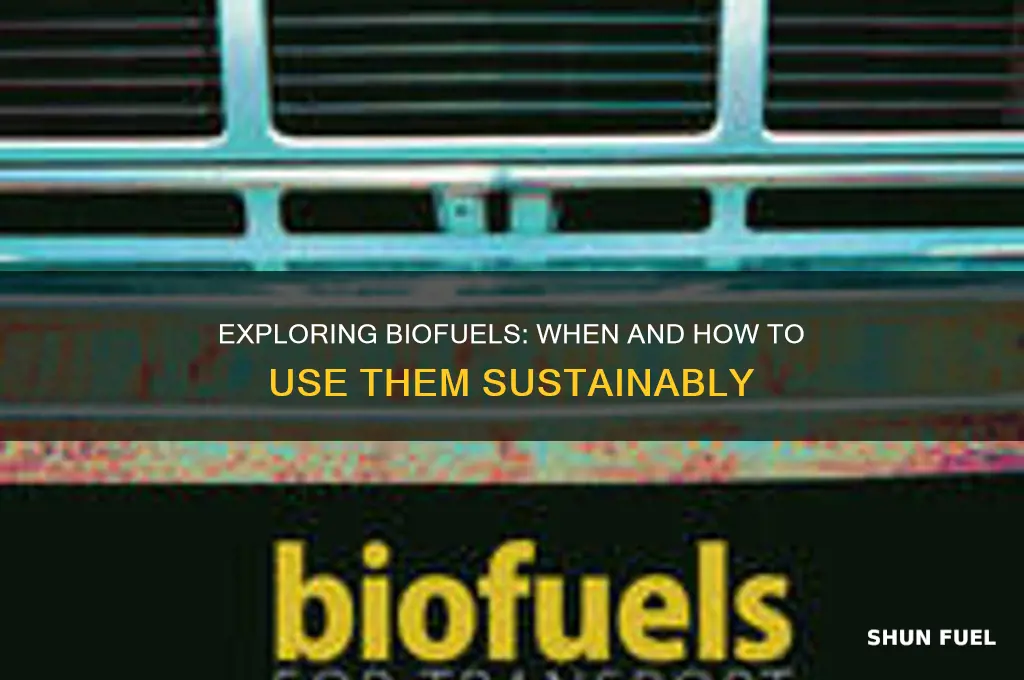 when can we use bio fuels