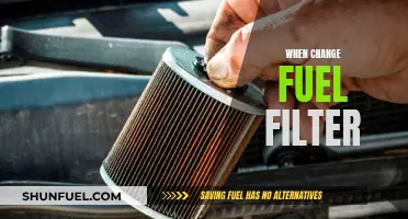 Maintaining Your Vehicle: Changing the Fuel Filter