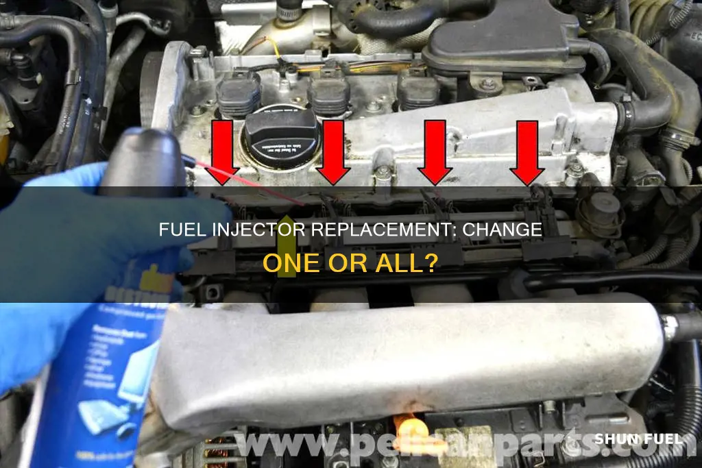 when changing a fuel injector should you change them all