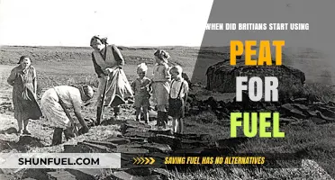 When Did Britain Start Using Peat for Fuel?