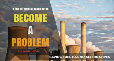 When Did Burning Fossil Fuels Become an Environmental Crisis?