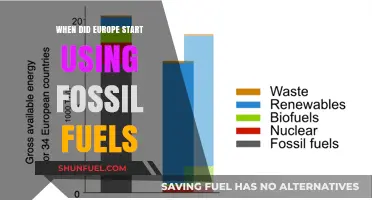Europe's Fossil Fuel Revolution: Tracing the Origins of Energy Dependence